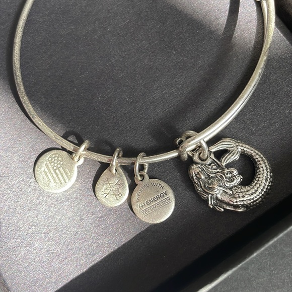 Alex and Ani Charm Bracelet - Picture 2 of 3